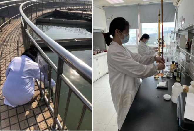 1675904734147883.png 34.png