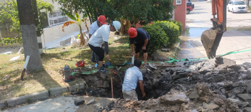 1675905544513840.png 36.png